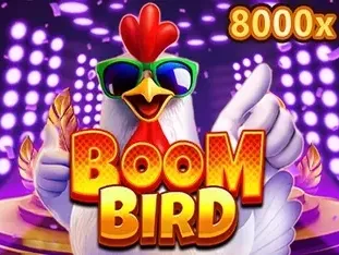 Boom Bird game thumbnail